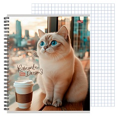 тетрадь  96л кл. на гребне "красивые коты" 