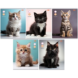 тетрадь  48л кл. офсет-2  "маленькие котики"