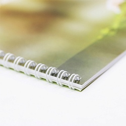 альбом для рисования 20л. "тигр" на гребне обложка мел. картон