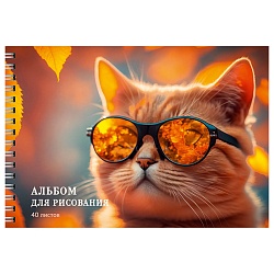 альбом для рисования 40л. "котик в очках" на гребне  бум. 110г/м2