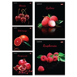 тетрадь  48л кл. "яркие фрукты и ягоды" обложка цветная мелованная