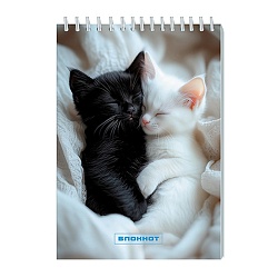 Блокнот А5  32л "Два котёнка"  на гребне