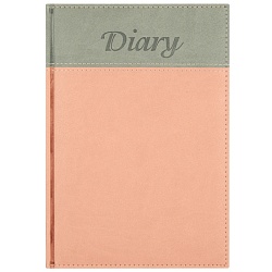 ежедневник 14*20,5см недатиров. 192л  обложка кожзам  2-х цв 