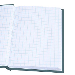 книжка записная  а6  64л "угрюмый котик" 7бц, глянц.лам.