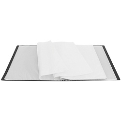 папка 100 файлов 700мкм чёрная