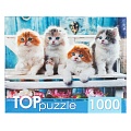 Пазлы 1000 элементов Котята скоттиш фолд