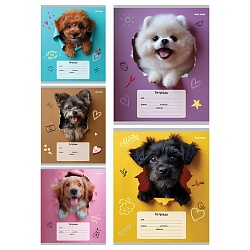 тетрадь  18л клетка цв. обл "обаятельные пёсики"