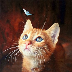 алмазная живопись  30*30см  котёнок с бабочкой