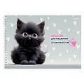 Альбом для рисования 20л. на гребне "Милые котики-3"