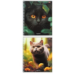 тетрадь  80л кл. на гребне "разные коты" обложка цветная мелованная