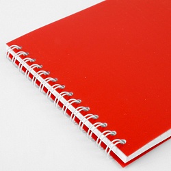 Блокнот 13*18см  48л пластиковая обложка ассорти на гребне