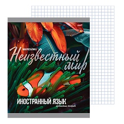 тетрадь предметная  36л кл иностранный язык "мир вокруг" 