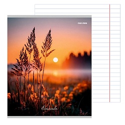 тетрадь  96л лин. "природа и солнце" обложка цвет. мелов.