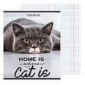 Тетрадь  96л кл. "Домашние коты" обложка цветная мелованная