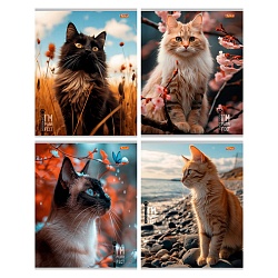 тетрадь  96л кл. офсет-2  "коты и природа"