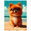 Холст с красками 30*40см по номерам "Милый шпиц на пляже"