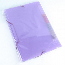 папка на резинке а4 13 отделений ice фиолетовая
