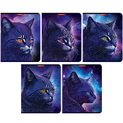 тетрадь  48л кл. "синий кот" обложка матовая ламинация