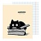 тетрадь предметная  48л лин литература "bad cat" 