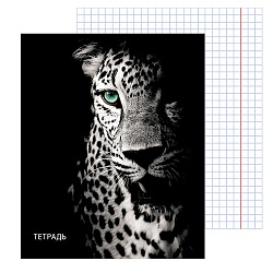 тетрадь  48л кл "леопард на чёрном" обложка мел. кар.