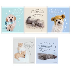 тетрадь  60л кл. "rachael hale" обложка уф-лак