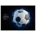 Альбом для рисования 24л. склейка "Футбольная тема-14"