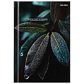 Книжка записная  А6  64л "Листья-1" 7БЦ, глянц.лам.