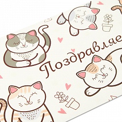 открытка -конверт  "поздравляем! коты"