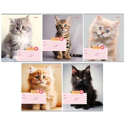 тетрадь  18л клетка цв. обл "фото котиков"