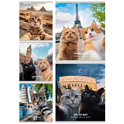 тетрадь  48л кл. "котики-туристы" обложка цветная мелованная