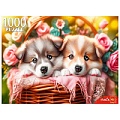 Пазлы 1000 элементов Два щенка в корзине