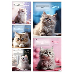 тетрадь  12л клетка цв. обл "милые кошечки-1"