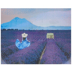 алмазная живопись  40*50см  лавандовое поле