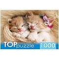 Пазлы 1000 элементов Два спящих котёнка