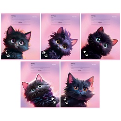 тетрадь  12л линейка цв. обл "чёрный котик""