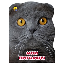 мир животных. мои питомцы