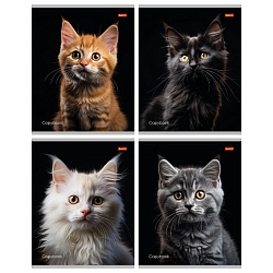 тетрадь  36л кл. "портретное фото кота" обложка цветная мелованная второй блок