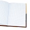 книжка записная  а7  48л "лапки котика-2" 7бц, глянц.лам.