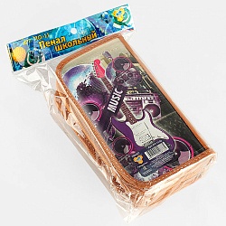 пенал 3отдел. 190*105мм гитаристка