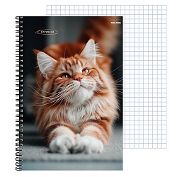 тетрадь  а4  96л кл. на гребне "рыжий котик-2" обложка цветная мелован.