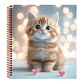 Книжка записная  А6  80л "Милый котик-9" цветная спираль