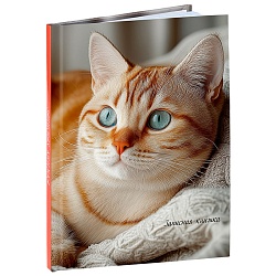 книжка записная  а6  48л "уютные котики-3" 7бц  глянц.ламин.