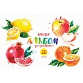Альбом для рисования 20л на склейке "Фрукты" 100гр/м2  РБ