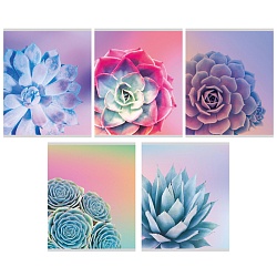 тетрадь  96л кл. "суккуленты" обложка уф-лак