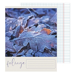 тетрадь  48л кл. "природный код" обложка выбор. лак