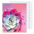 Тетрадь  96л кл. "Суккуленты" обложка УФ-лак