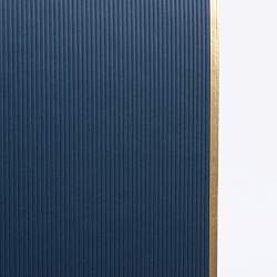 набор подарочный (ежедневник недатир.а5 с магнитной застежкой + ручка) синего цвета