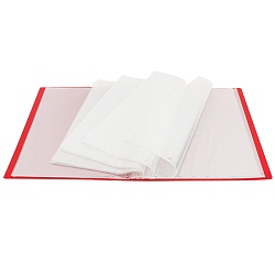 папка 100 файлов 700мкм красная