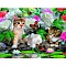 алмазная  живопись "darvish" 30*40см котята в цветах