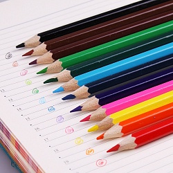 карандаши 12цв "darvish" "веселое путешествие" корпус шестигранный (набор)